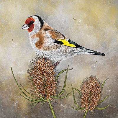 Goldfinch and Teasel