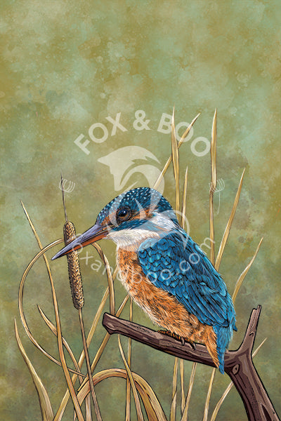 https://www.foxandboo.com/cdn/shop/files/Kingfisher-Tea-Towel_1600x.jpg?v=1693235395