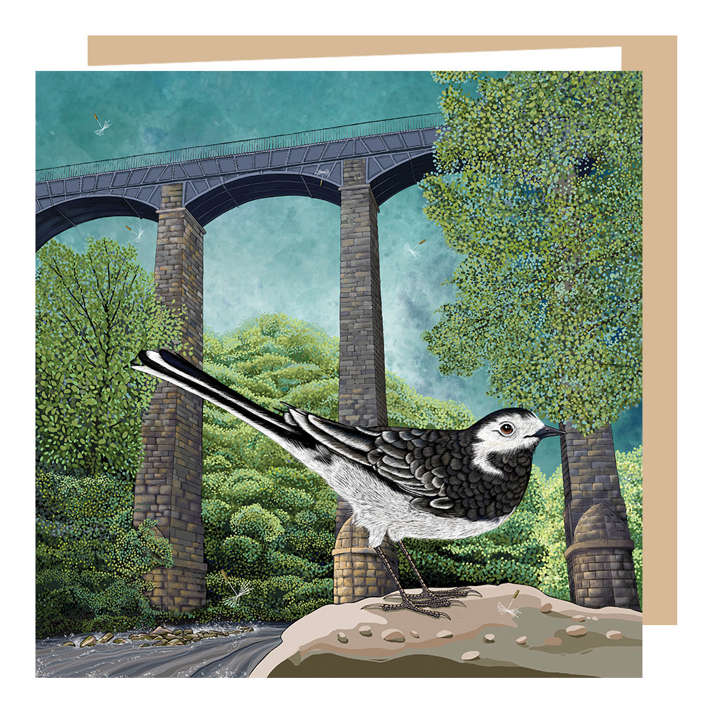 Wagtail at Pontcysyllte Aqueduct Card