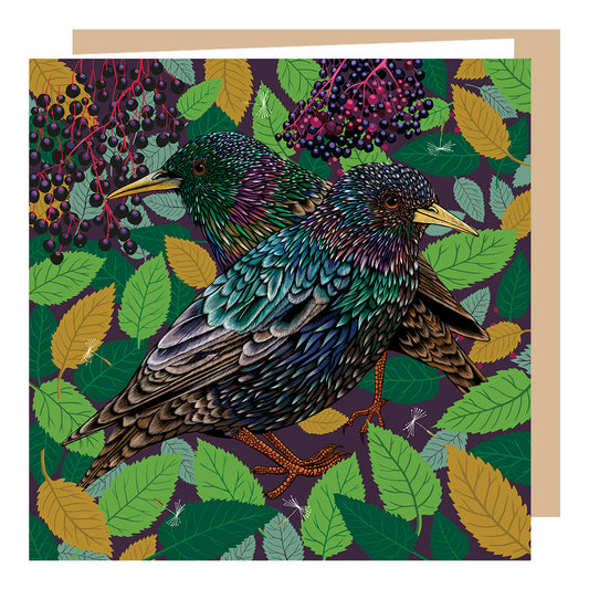 Starlings 'True Colours' Card