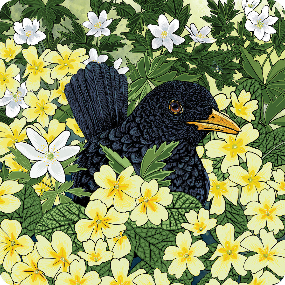 The blackbird is partially hidden in this design, it is peeping out from behind dozens of yellow primroses and wood sorrel.