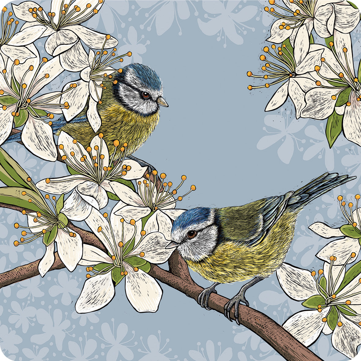 This coaster design from Fox and Boo depicts two cute blue tits perched on stems of a hawthorn blossom tree, background is grey blue.