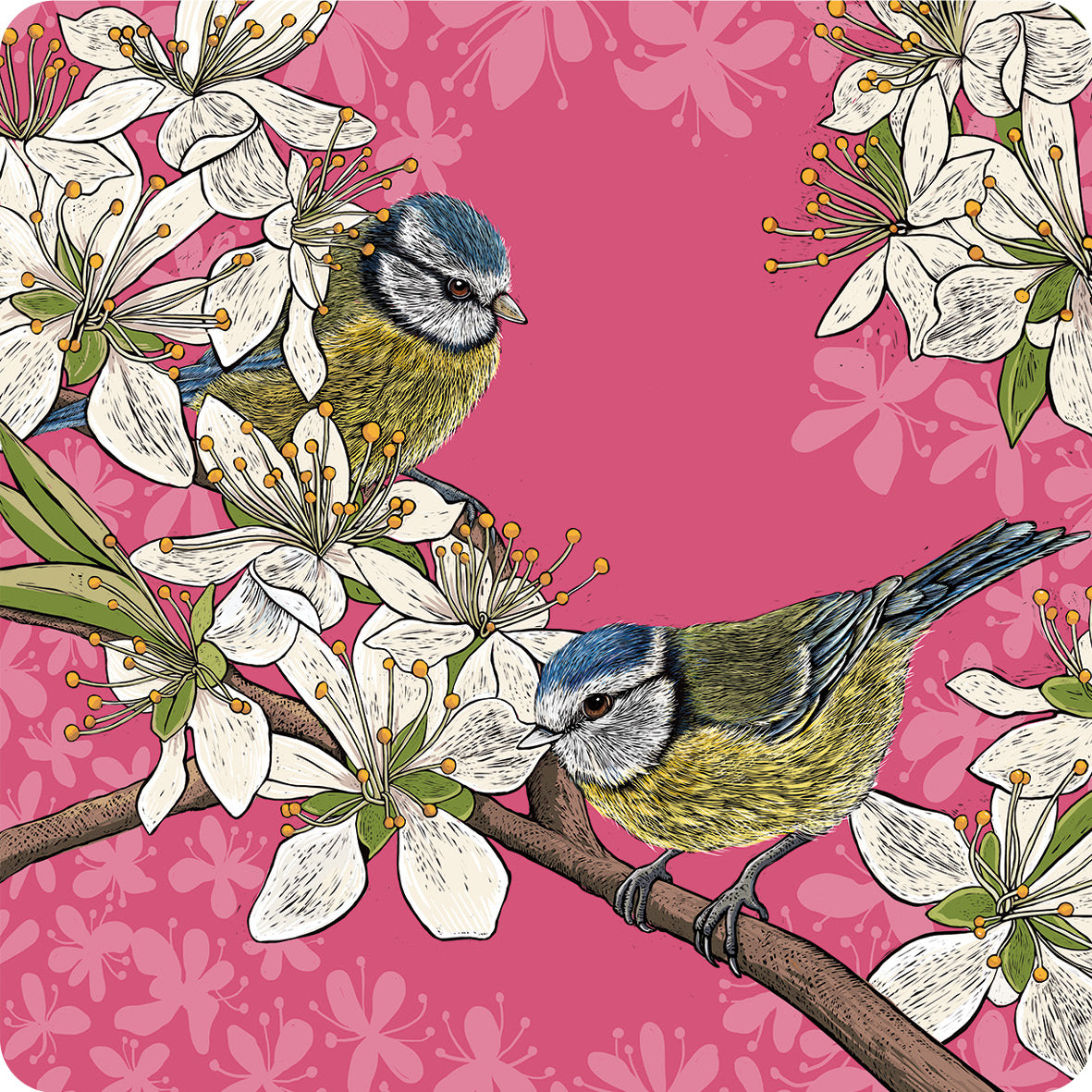 This coaster design from Fox and Boo depicts two cute blue tits perched on stems of a hawthorn blossom tree, background is deep pink.