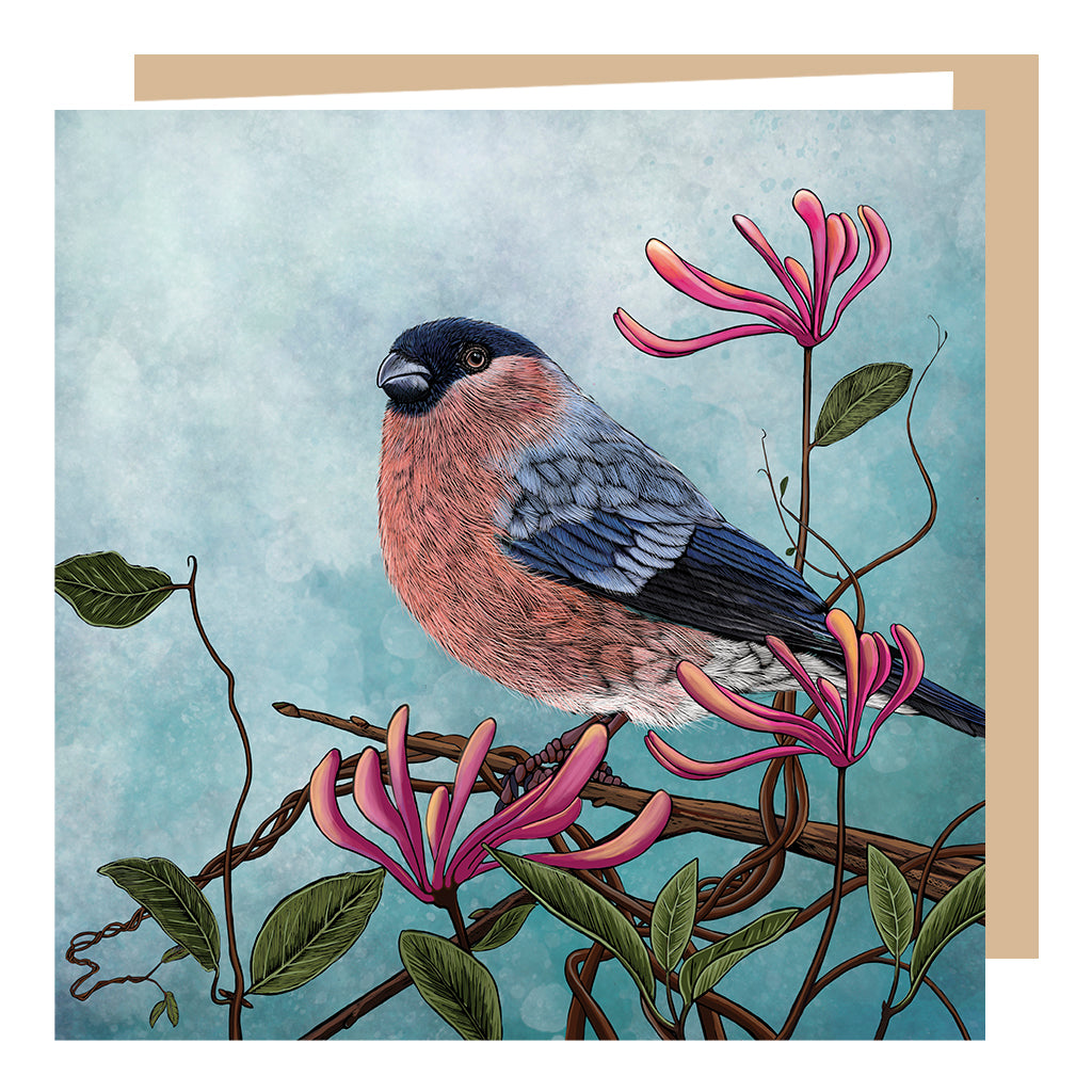 Bullfinch on a honeysuckle branch; greeting card by fox and boo