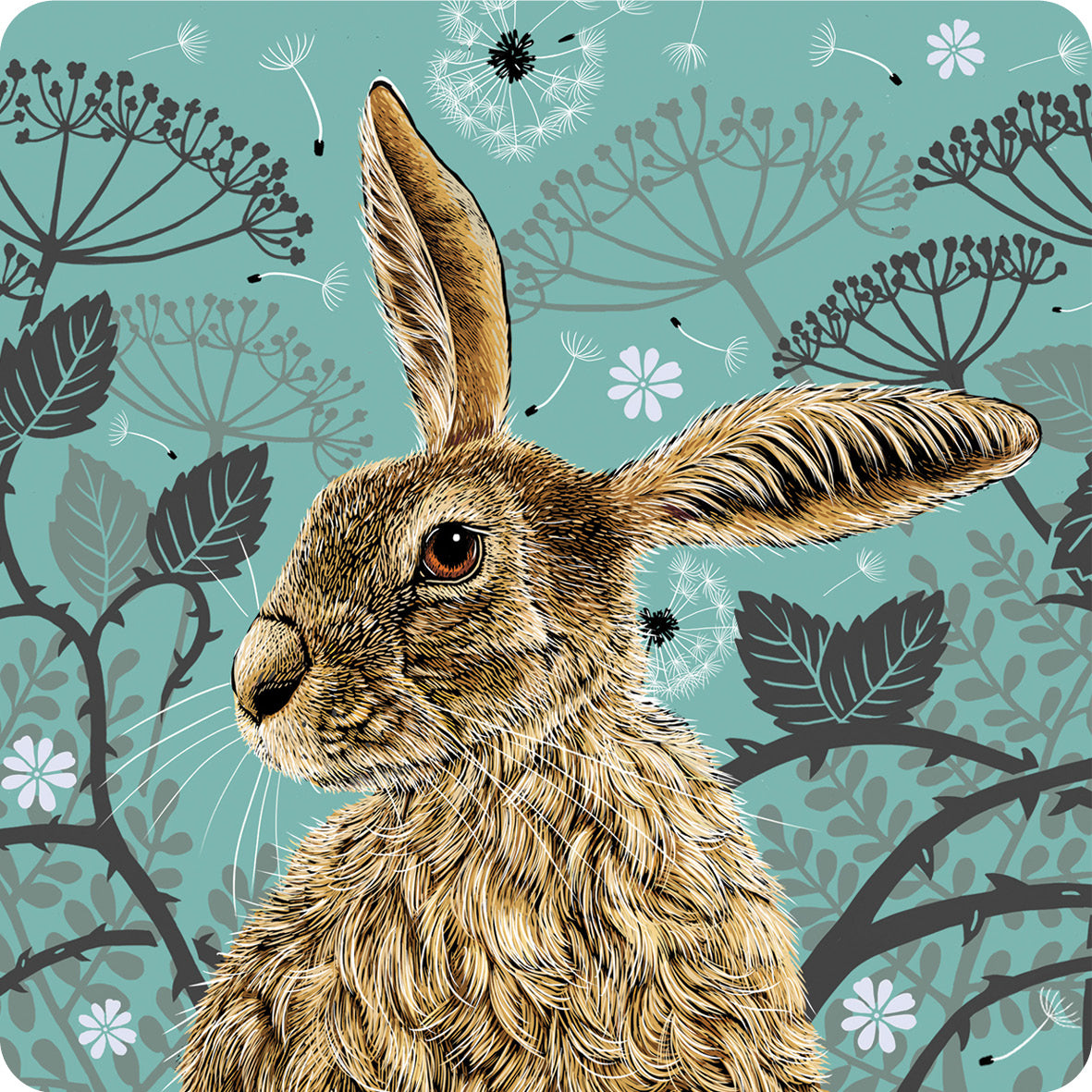 This coaster design features a hare portrait with one floppy ear, around the hare are stylised brambles, leaves, cow parsley and dandelion puffs, background colour is an aqua blue or green