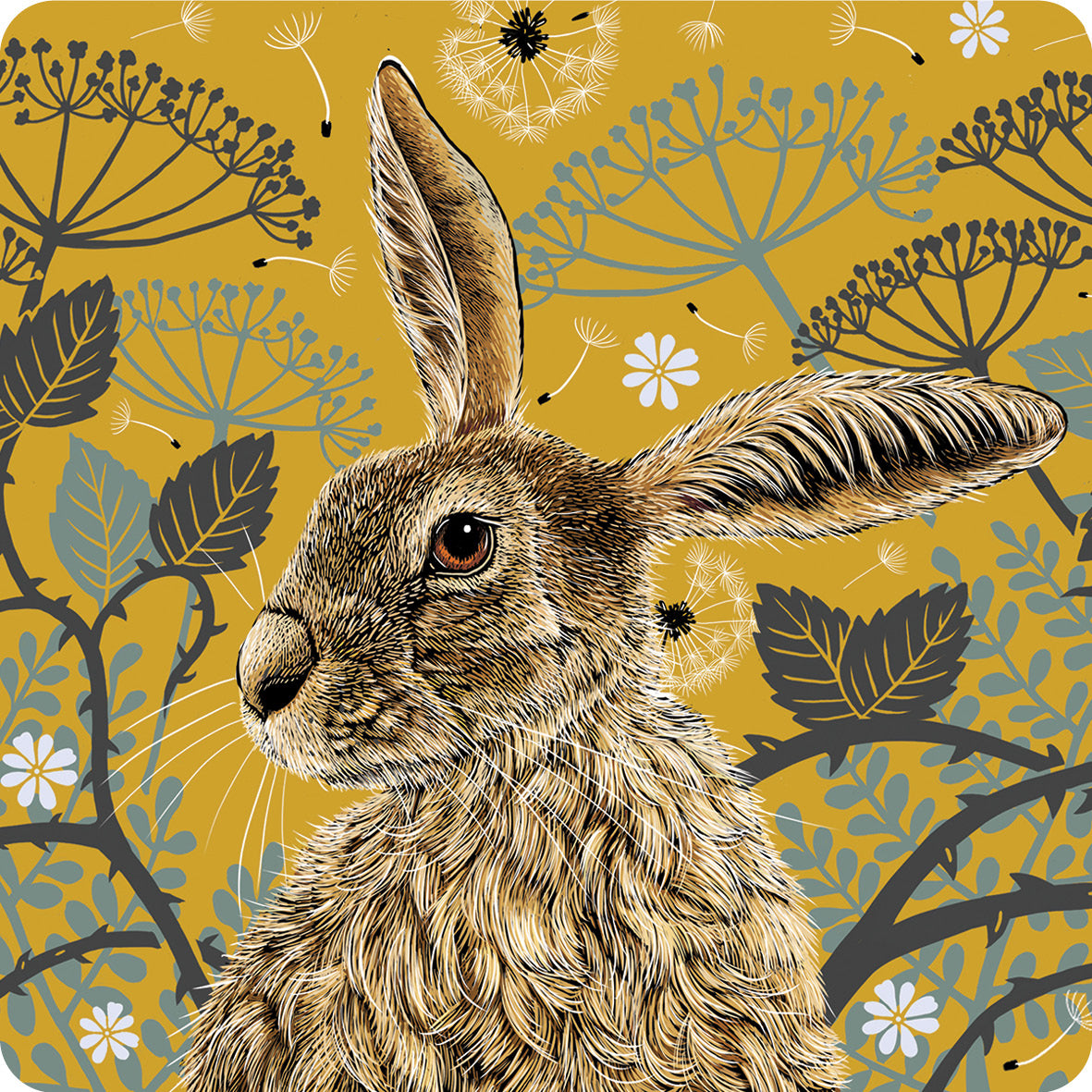 This coaster design features a hare portrait with one floppy ear, around the hare are stylised brambles, leaves, cow parsley and dandelion puffs, background colour is a mustard yellow.