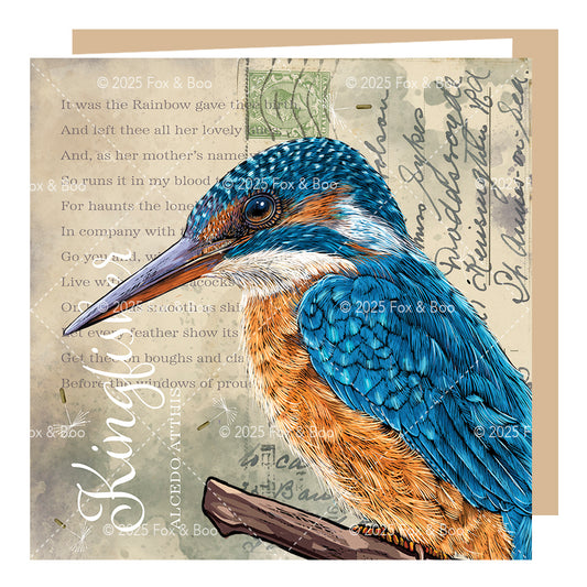 ‘Victoria’s Attic’ Kingfisher Card