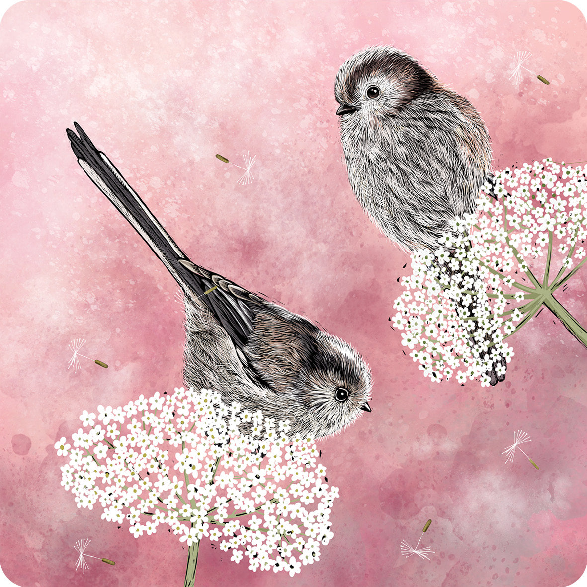 This coaster design from Fox and Boo depicts two cute long tailed tits balancing on some cow parsley, background is a watercolour berry pink, with floating dandelion puffs.