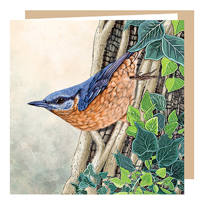 An blank, square greeting card featuring an illustrated nuthatch creeping down a tree trunk surrounded in ivy, design by fox and boo.