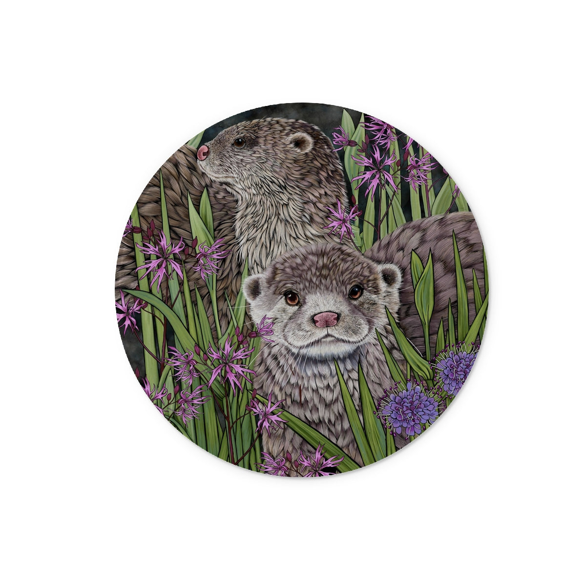 Illustration features 2 otters on a dark background, surrounded with rushes, marsh flowers and pink ragged robin.