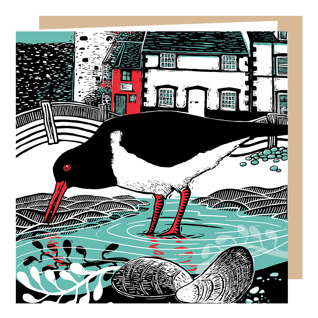 Conwy Oystercatcher Card