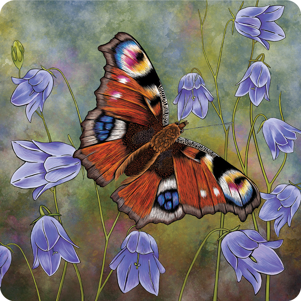 Stunning detailed illustration of a peacock butterfly with delicate lilac blue harebells in the background.