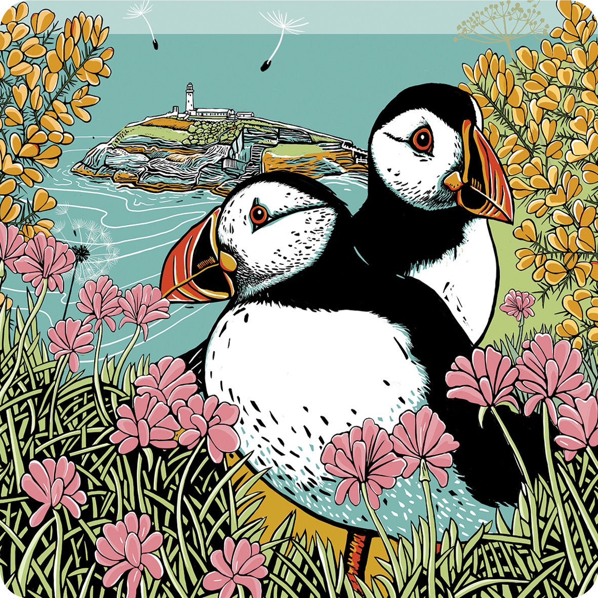 This Fox and Boo design features two puffins side by side on a clifftop, surrounded by sea thrift and gorse, backdrop is a small island with a lighthouse. 