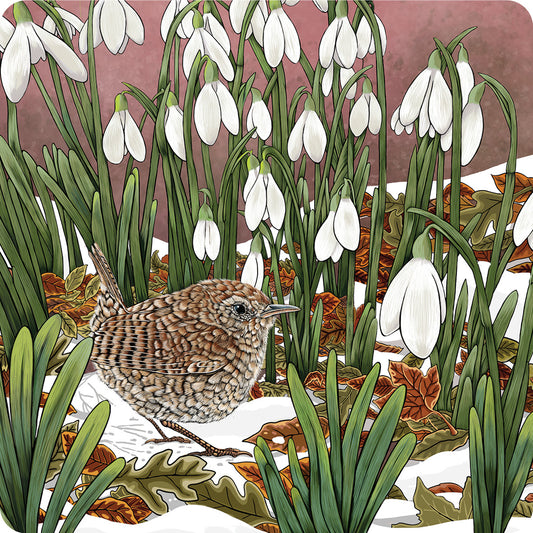 Cute illustration of a wren surrounded by snowdrops on this coaster design, it is a winter scene, with partial snow on the ground, with some fallen leaves.