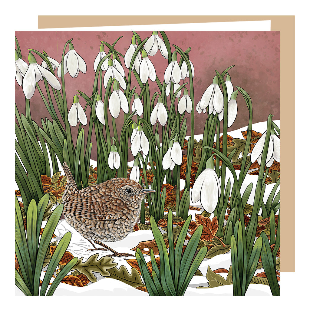 wren and snowdrops, greeting card by fox and boo