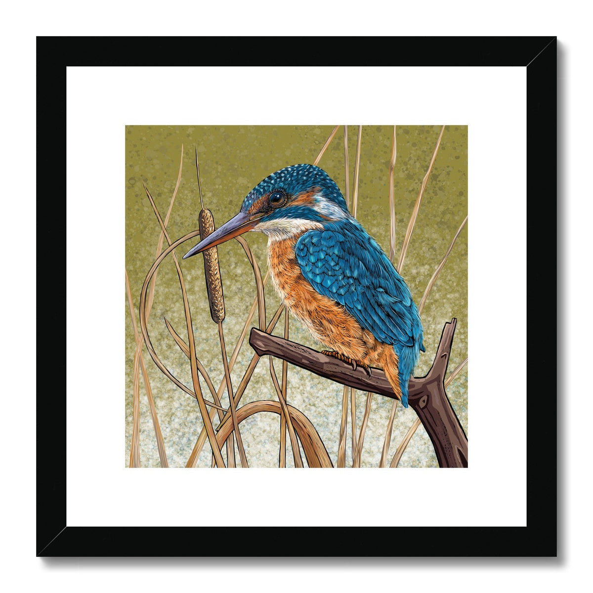 Kingfisher Blues Framed & Mounted Print