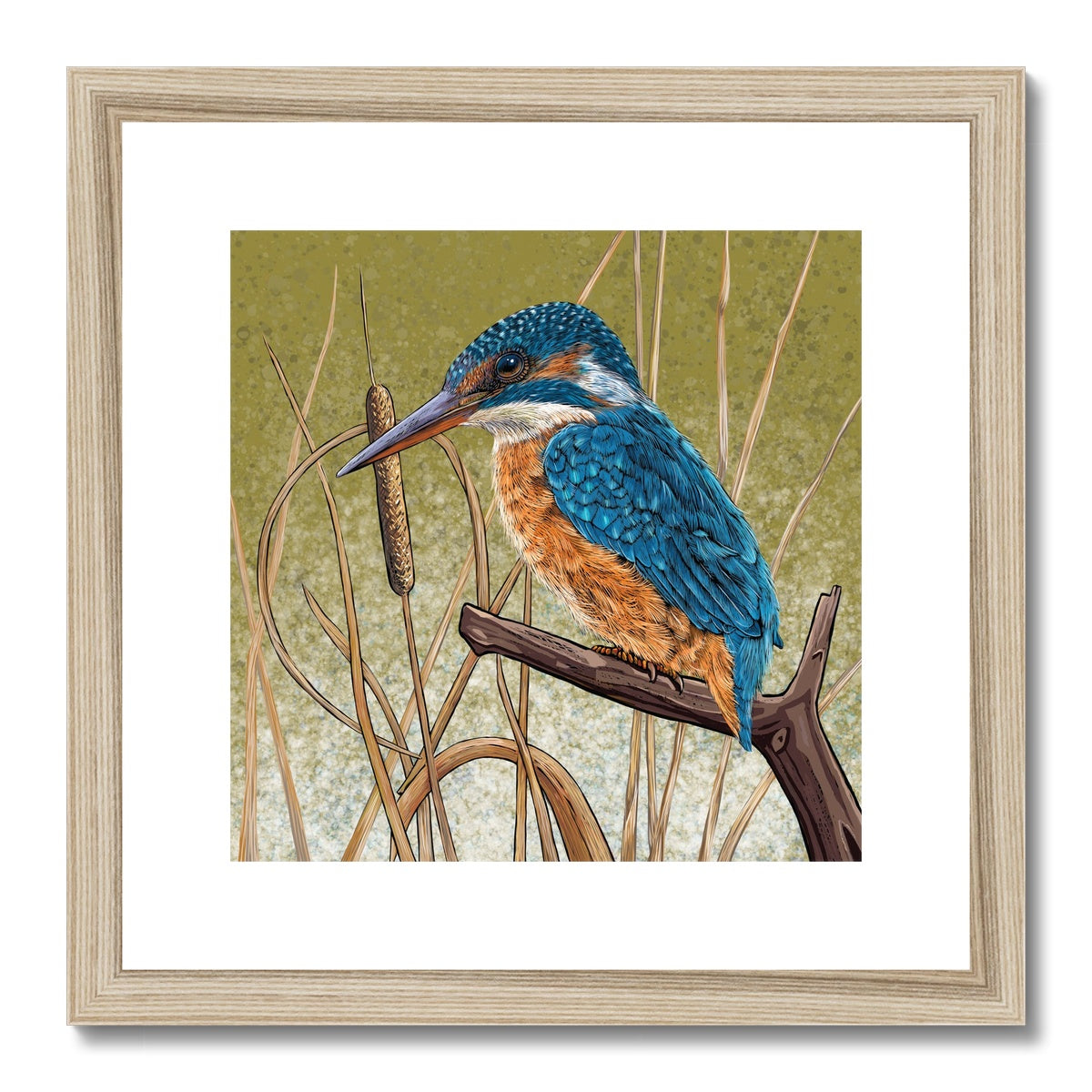 Kingfisher Blues Framed & Mounted Print